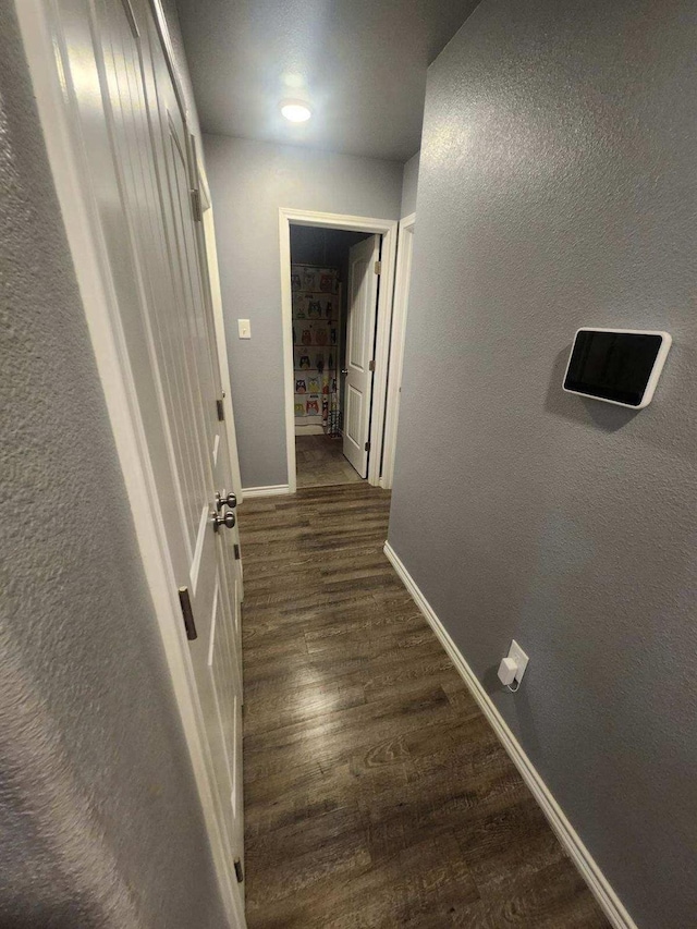 hallway featuring dark hardwood / wood-style flooring