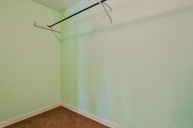 spacious closet with carpet floors