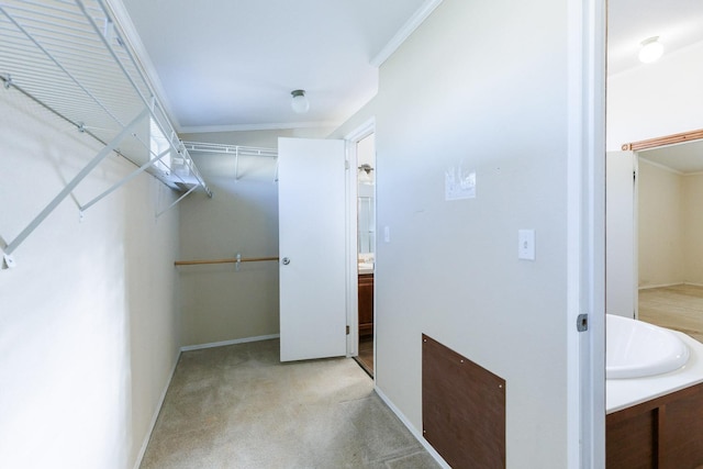 walk in closet featuring light colored carpet