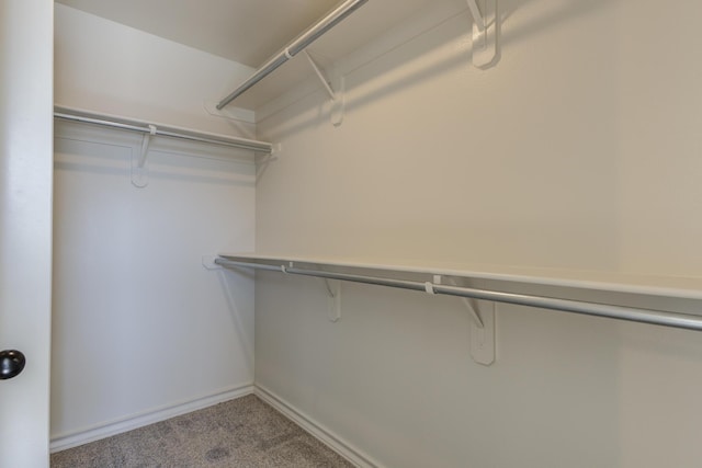 2101 Fm 41, Lubbock, TX 79423 - photo 28