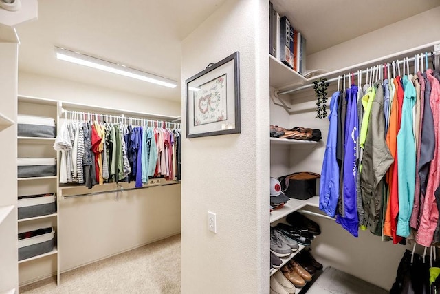 spacious closet featuring carpet flooring