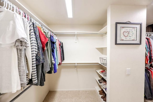 walk in closet featuring light carpet