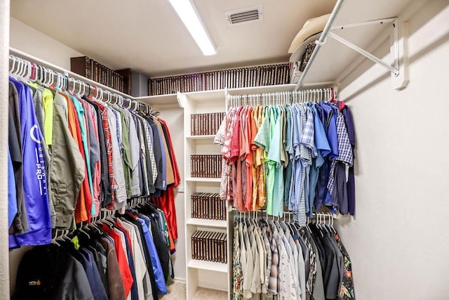 spacious closet featuring carpet