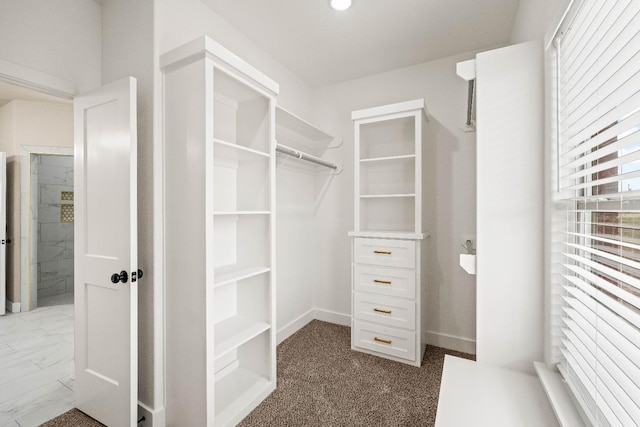 spacious closet featuring dark colored carpet