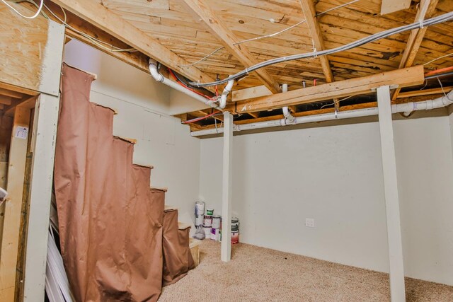 basement featuring carpet