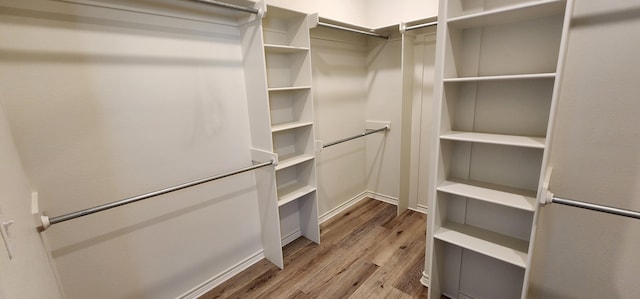 walk in closet featuring wood finished floors