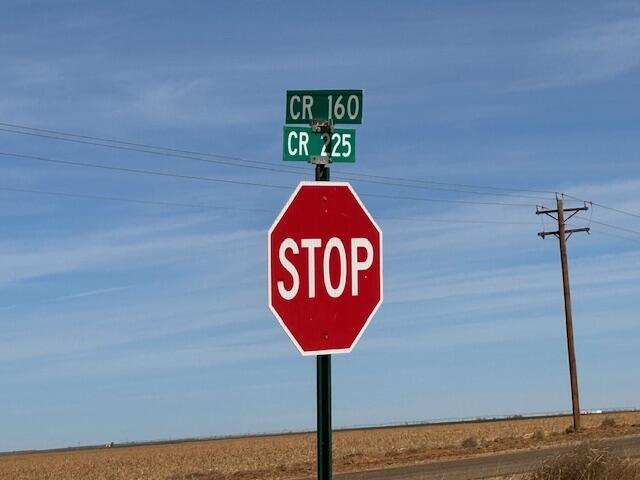 County Road 225, Plains, TX 79355 - photo 8