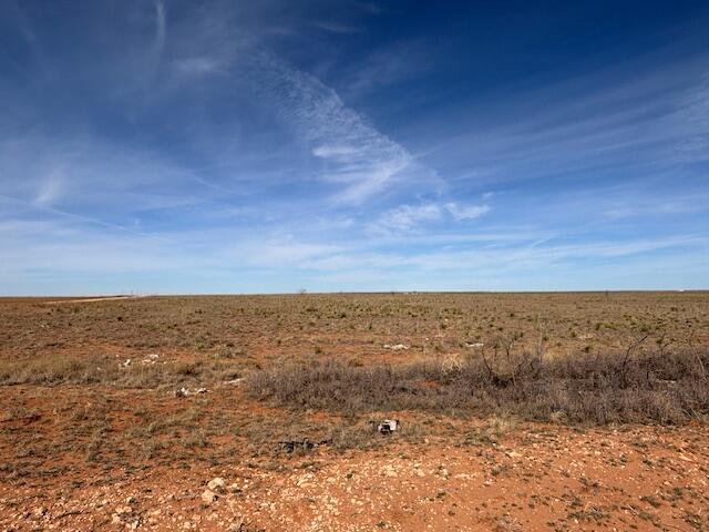 County Road 225, Plains, TX 79355 - photo 5