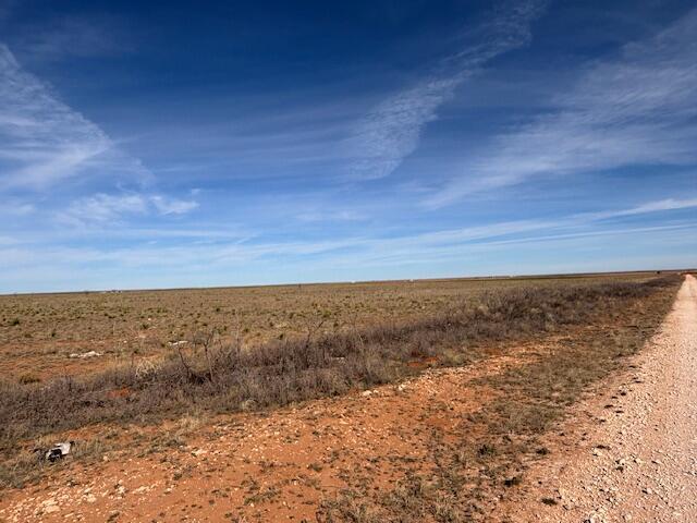 County Road 225, Plains, TX 79355 - photo 6