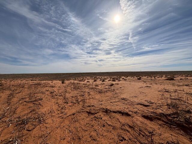 County Road 225, Plains, TX 79355 - photo 3