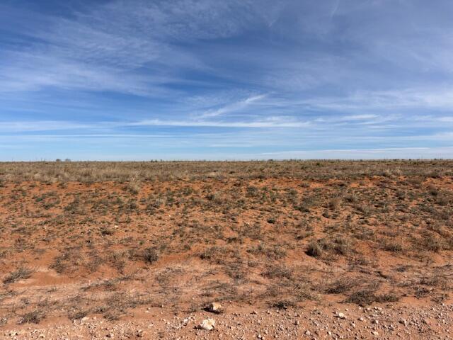 County Road 225, Plains, TX 79355 - photo 4