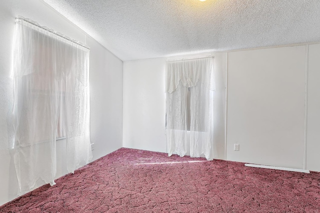 empty room featuring lofted ceiling, carpet flooring, and a textured ceiling