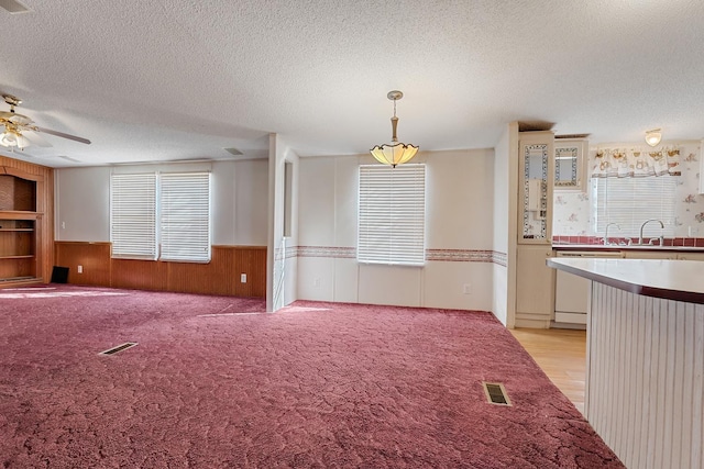 interior space with light carpet, sink, a textured ceiling, and wood walls