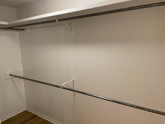 spacious closet featuring dark wood-type flooring