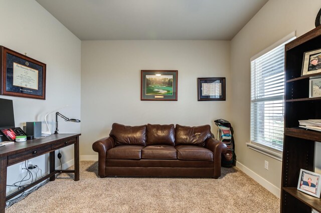 living room featuring light colored carpet