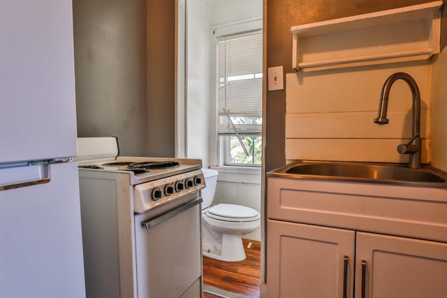 bathroom with wood-type flooring, sink, and toilet