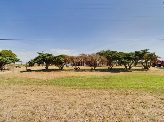 view of yard with a rural view