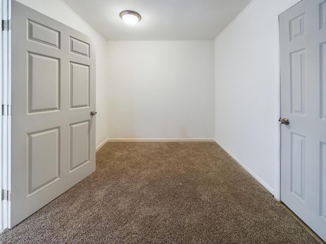 spare room with carpet floors