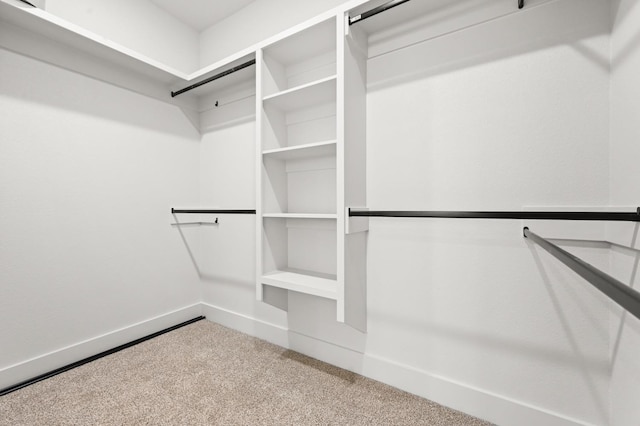 walk in closet featuring carpet flooring