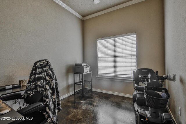 5902 Valencia Ave, Lubbock, TX 79407 - office with crown molding, concrete flooring, baseboards, and a textured ceiling