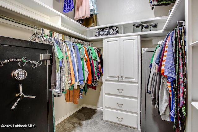 8 W Canyonview Dr, Ransom Canyon, TX 79366 - spacious closet with carpet flooring