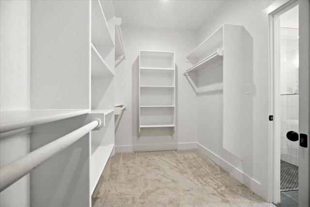 1406 Durham Ave, Wolfforth, TX 79382 - spacious closet featuring carpet flooring