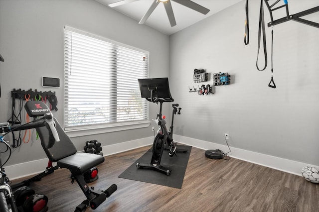 exercise room featuring hardwood / wood-style floors and ceiling fan