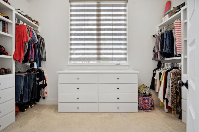 spacious closet featuring light carpet