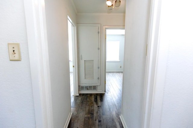 hall featuring ornamental molding and dark hardwood / wood-style flooring