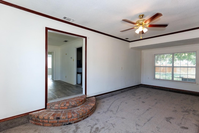 carpeted spare room featuring ceiling fan, ornamental molding, and a textured ceiling