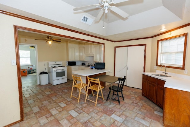 kitchen with ornamental molding, white gas range, a raised ceiling, and sink