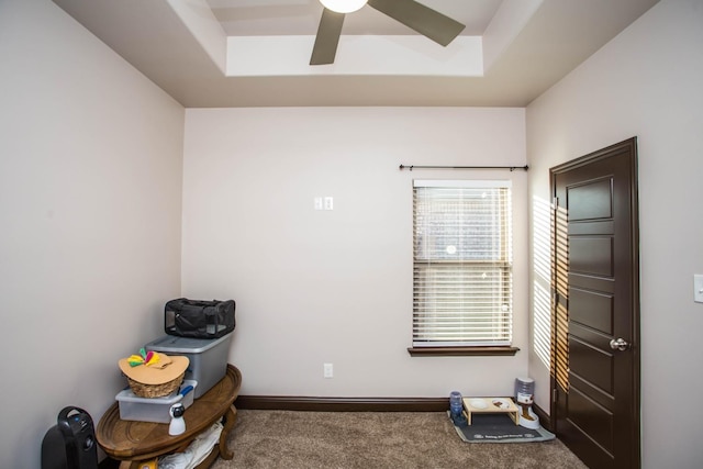 miscellaneous room with a raised ceiling, ceiling fan, and carpet