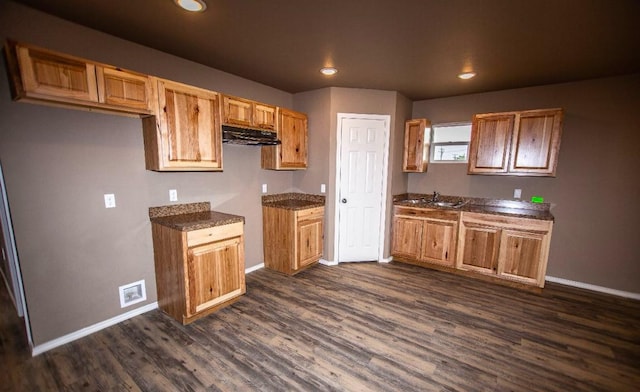 kitchen with dark hardwood / wood-style flooring and sink