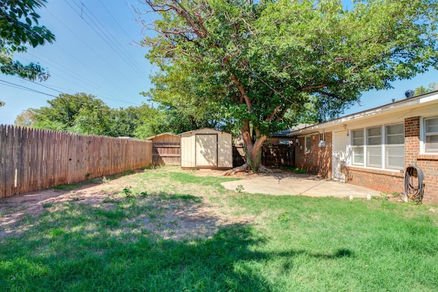 view of yard featuring a patio and a storage shed