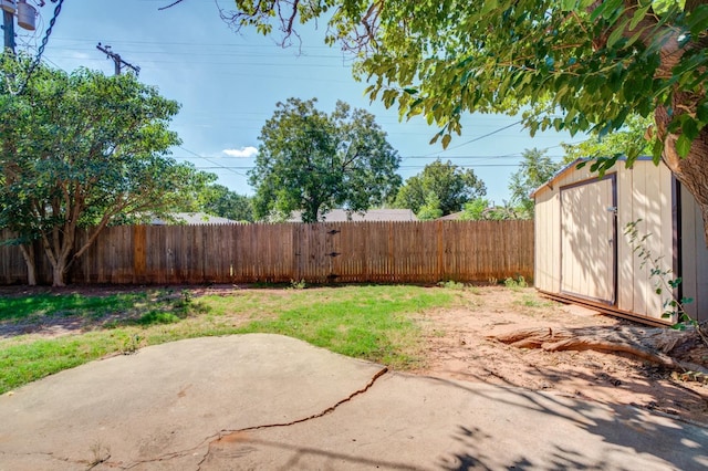 view of yard with a patio area and a storage unit