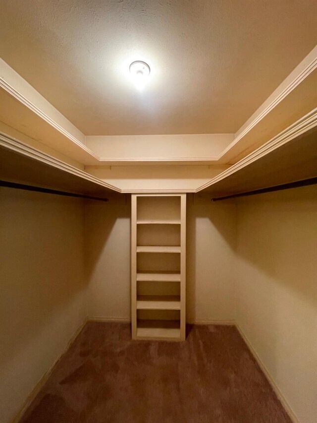 walk in closet with carpet