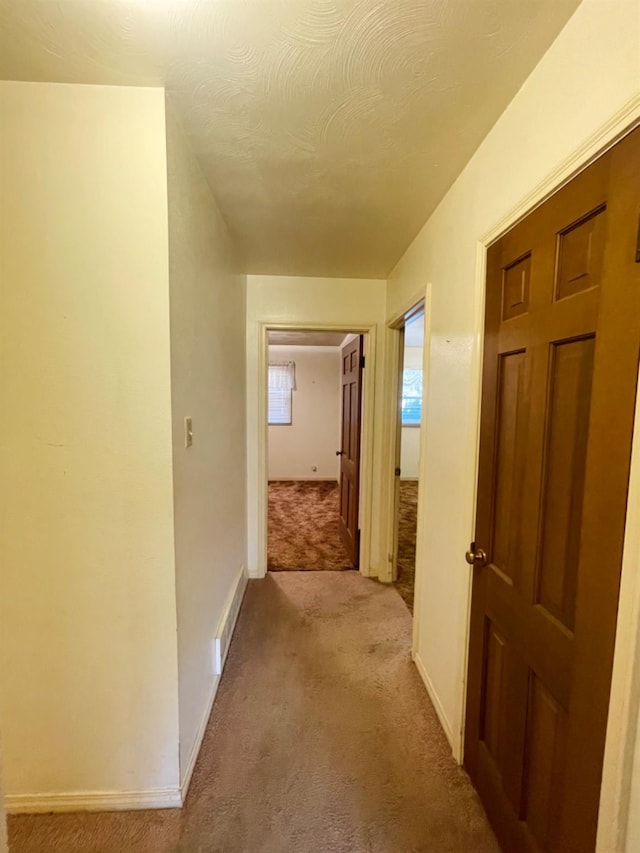 hallway featuring light carpet