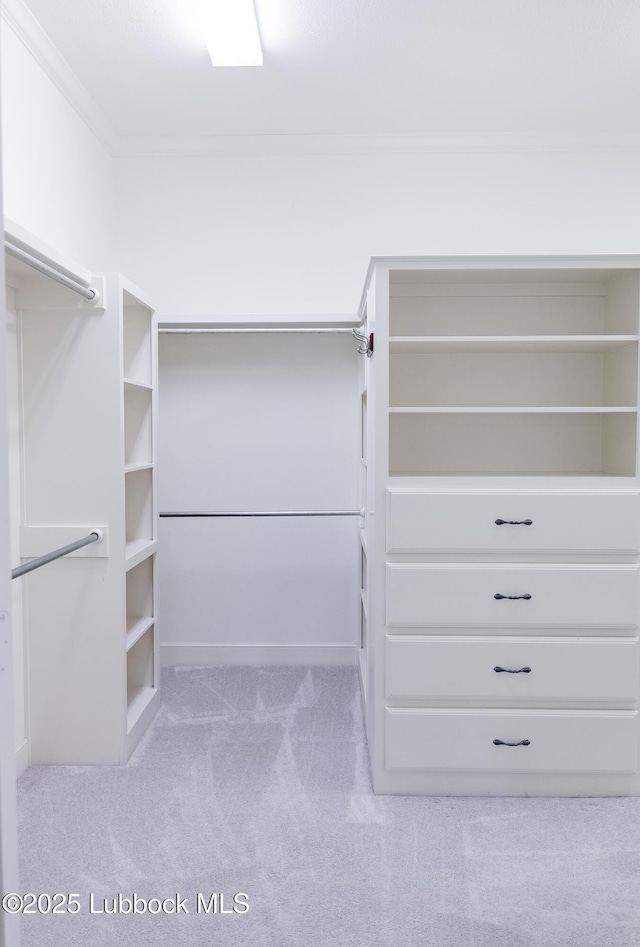 9805 Savannah Ave, Lubbock, TX 79424 - walk in closet with carpet