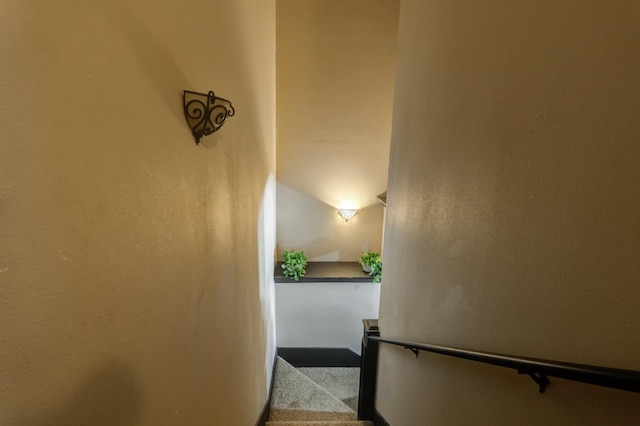 staircase with carpet floors