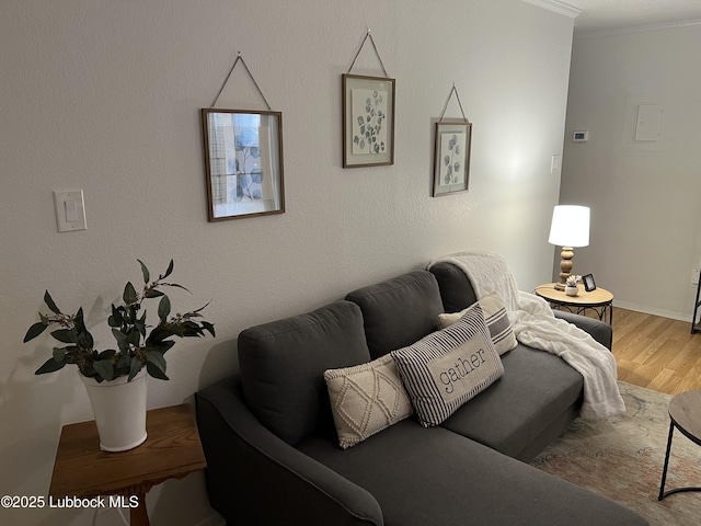 8601 Memphis Dr Unit B-40, Lubbock, TX 79423 - living area featuring ornamental molding, wood finished floors, and baseboards