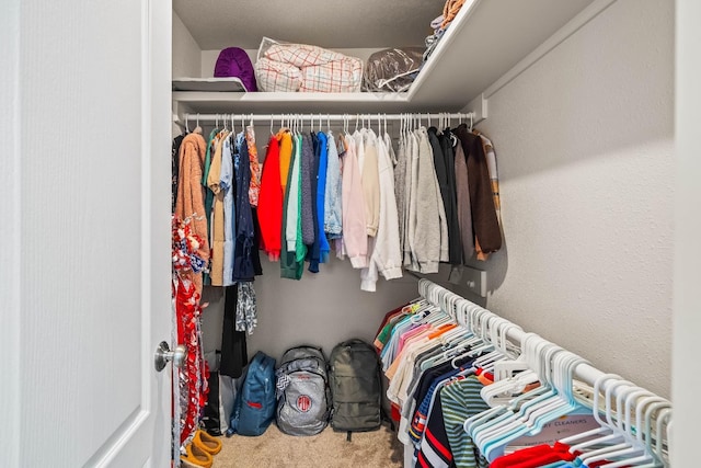 walk in closet with carpet floors