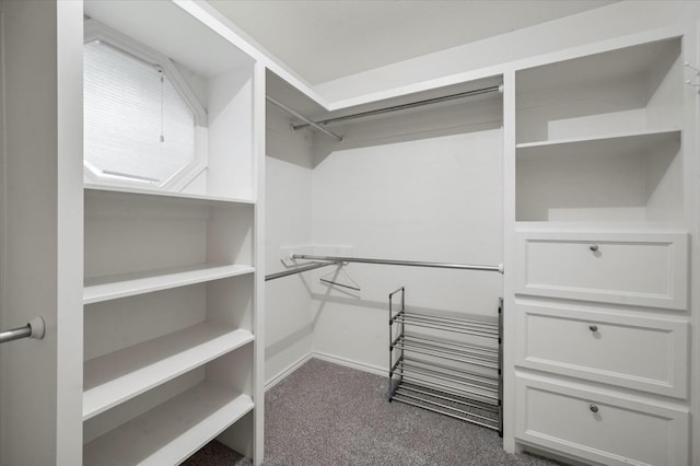 walk in closet with carpet floors