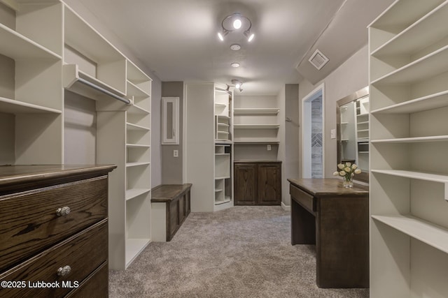 4517 9th St, Lubbock, TX 79416 - spacious closet featuring carpet flooring