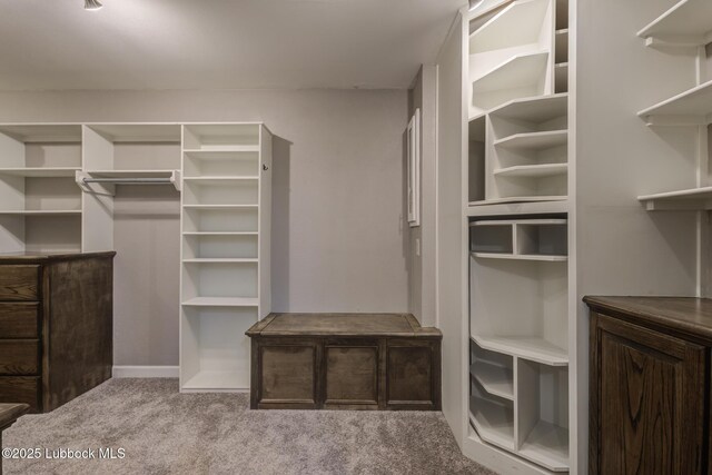 4517 9th St, Lubbock, TX 79416 - spacious closet with carpet floors