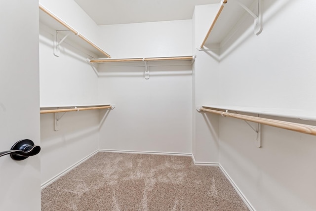 walk in closet with light colored carpet