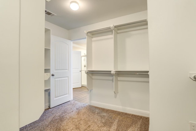 walk in closet with light colored carpet