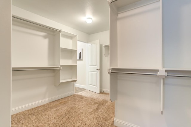 spacious closet featuring light colored carpet