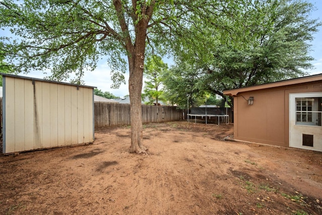 view of yard featuring a shed and a trampoline