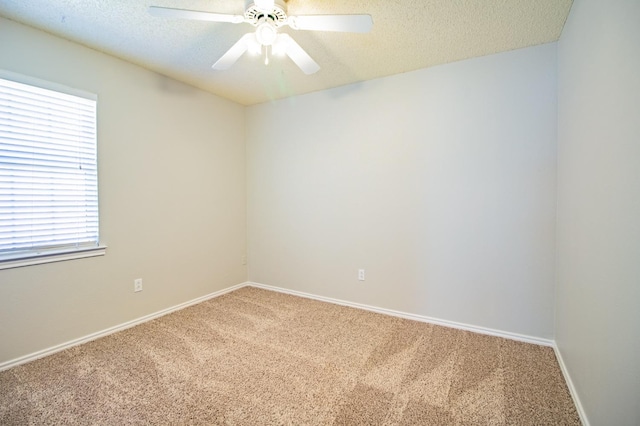 empty room featuring ceiling fan, carpet, and a textured ceiling