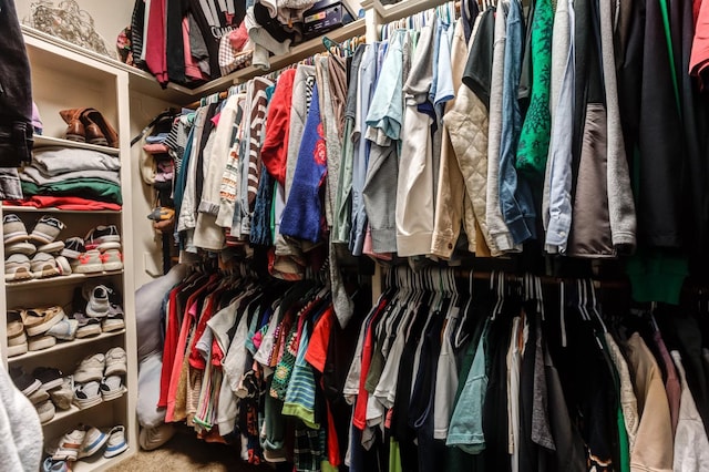 view of spacious closet